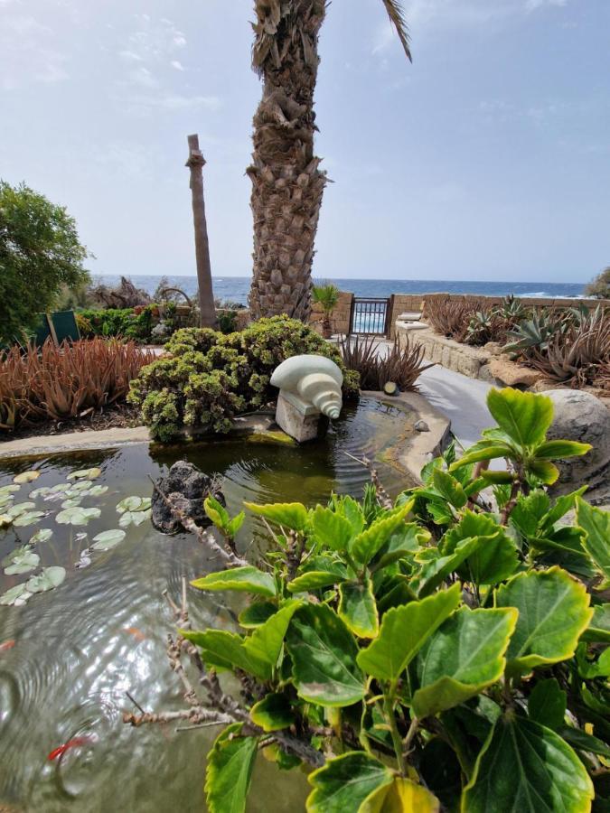 Little Paradise In El Medano 2 Granadilla De Abona Εξωτερικό φωτογραφία